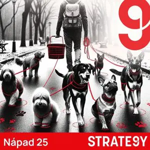 nápady na podnikání Profesionální služby dog walking