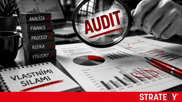 audit podnikaní vlastními silami