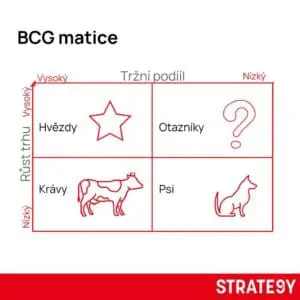 bcg matice