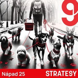 nápady na podnikání Profesionální služby dog walking